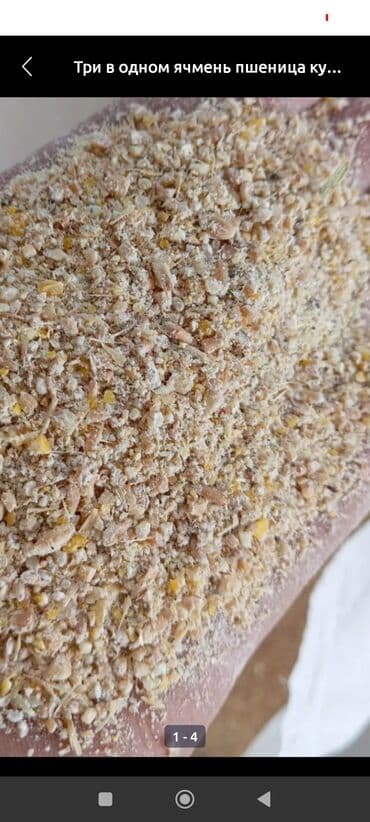 наполнитель для животных: Арпа буудай жмых сафлор жугору - ячмень - пшеница - кукуруза Фракция — 4