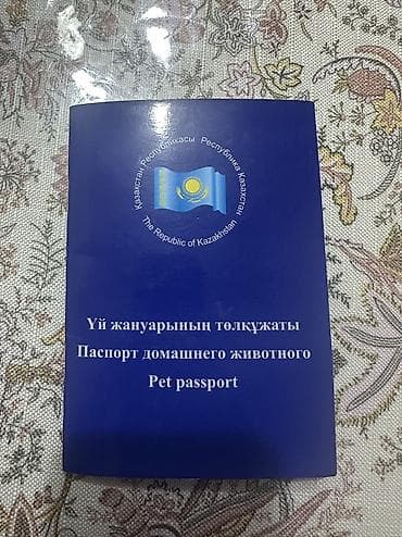 ротвейлер цена: Доберман, 3 месяца, Самец, С прививкой — 3