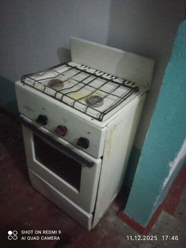 скоттиш фолд шотландская вислоухая кошка: Газовая плита с духовкой. Мкр Тунгуч, отдам даром Особенности: - 2 — 1