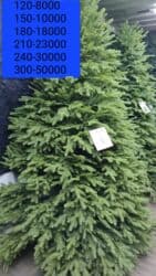 Кургаткычтар: Ёлки : искусственные ёлки в☎️☎️📞 продаже ! 🌲🌲 Доставка по городу! 🌲🌲 — 3