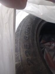 шины на трактор мтз 80 цена: Продаю шины 4 штук — 1