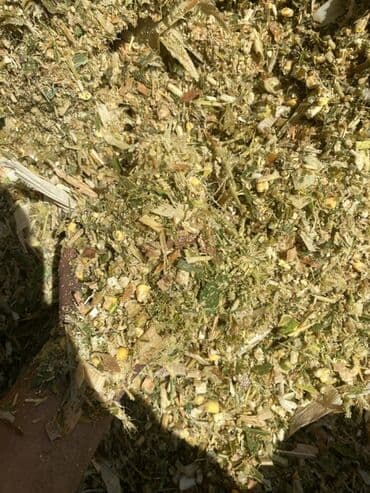 malina.kg продажа малины оптом в бишкеке новопокровка фото: Силос представляет собой высококачественный корм, изготовленный из — 1