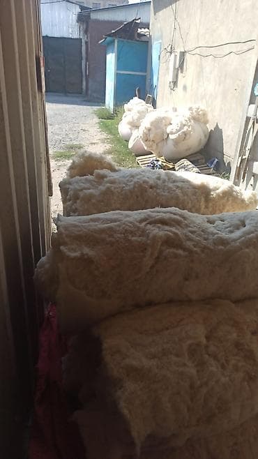 Расчес ваты кебез тытабыз .вата вата: вата улица кок-жар 43 вата вата