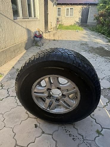 audi a4 b7: Колеса в сборе 275 / 70 / R 16, Всесезонная, Комплект, Внедорожные (АТ/МТ), Литые, отверстий - 6 — 4