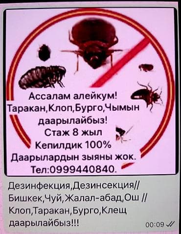 Стирка, прачечная: Дезинфекция, дезинсекция, | Клопы, Блохи, Тараканы, | Транспорт, Офисы, Квартиры — 1