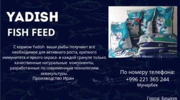 Рыбы: Рыбы — 2