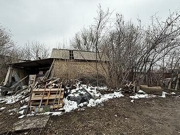 6 соток, Курулуш, Кызыл китеп