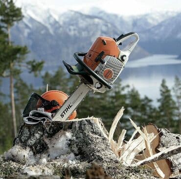 пила аккумулятор: Ижарага берүү Араалар, аарылар — 1