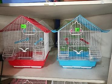 Үй жаныбарлары: Клетки для птиц и грызунов! — 5