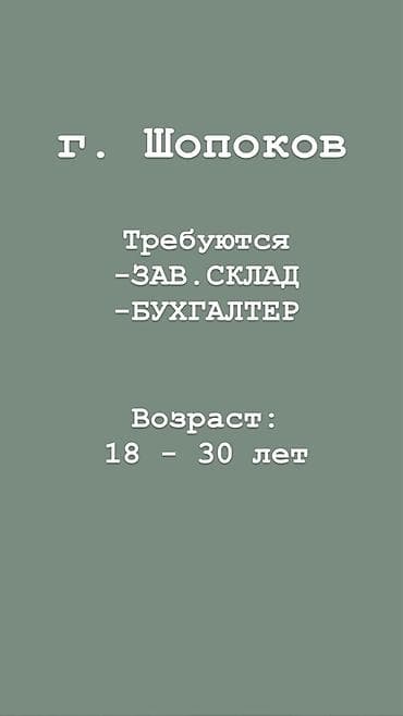ocol group бишкек: Бухгалтер — 1