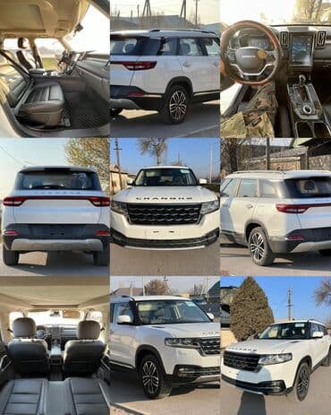 авто с последующим выкупом нексия: Принимаю заказ под ключ доставка в Дагестан РФ страны СНГ — 3