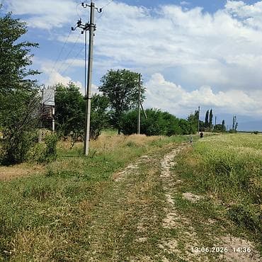 Кыймылсыз мүлк: 688 соток, Айыл чарба үчүн, Кызыл китеп — 1