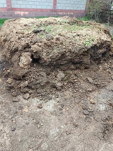 навоз конский: Бесплатно Перепревший навоз/компост для огорода и сада — 2