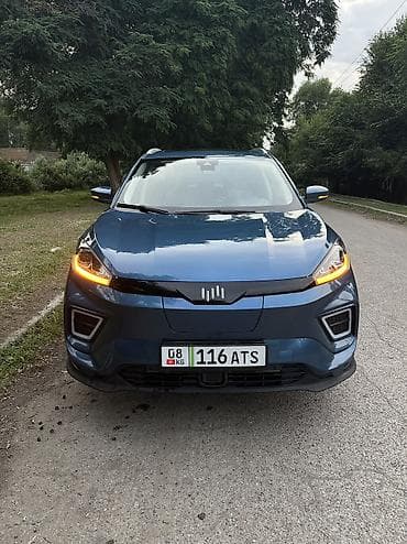 двер на фит: Weltmeister EX5, 2020 г., Передний, В наличии — 1