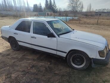 212 мерс 2010: Mercedes-Benz W124: 1988 г., 2 л, Механика, Дизель, Седан — 3