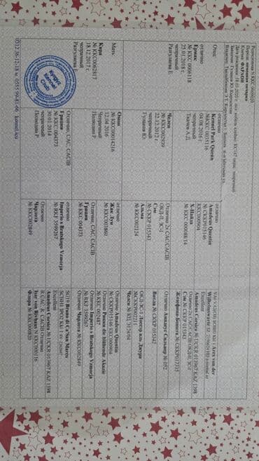 продажа щенков русского спаниеля: Немецкая овчарка, Более 5 лет, Самец, С прививкой, С родословной — 7