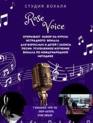 Творчество, искусство: Уроки вокала Офлайн, Онлайн, дистанционное, Индивидуальное — 1