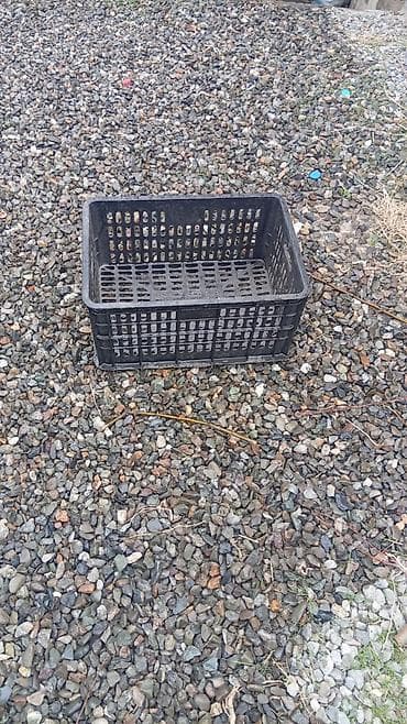 Упаковочные товары: Пластиковый Ящик — 2