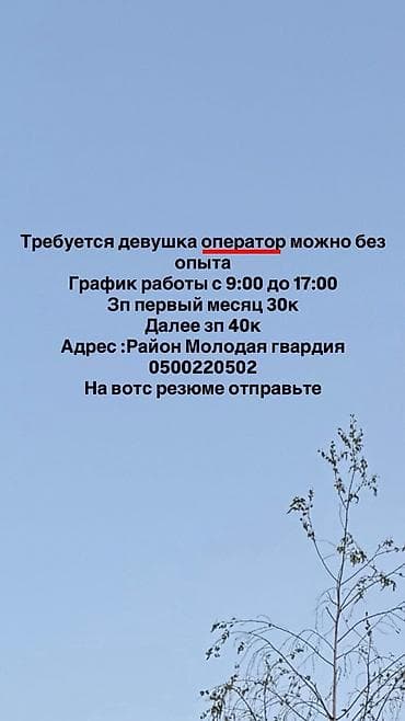 моладая гвардия: Вакансия: оператор (подходит без опыта) - График: с 09:00 до 17:00 - — 1