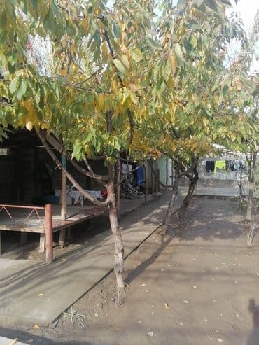 Үйдү ижарага алам: Үй, 200 кв. м, 8 бөлмө, Менчик ээси, Евро оңдоо — 2