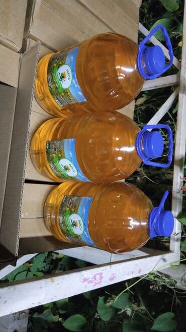 оборудование мороженое: Отечественный чистый Таласский разтительный масло из Сафлора холодной — 3