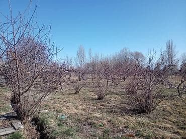 купольный дом под ключ цена: ПРОДАЁТСЯ ДОМ С УЧАСТКОМ 1 ГЕКТАР В СЕЛЕ Григорьевка (район пристани) — 6