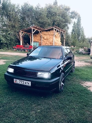 капот кобальт: Volkswagen Vento: 1993 г., 1.8 л, Механика, Бензин, Седан — 3