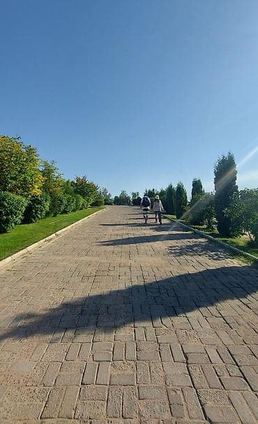 Жер тилкелери: 6 соток, Бизнес үчүн, Кызыл китеп, Сатып алуу-сатуу келишими — 2
