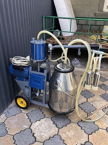 доильный аппарат бу: Продаю китайский доильный аппарат в идеальном состоянии работает всё — 5