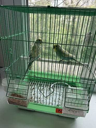 сетка для ловли птиц: Клетка для волнистых попугаев с комплектом аксессуаров. - Материал — 2