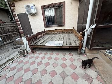 коне корсе: Тапчан Дерево — 1