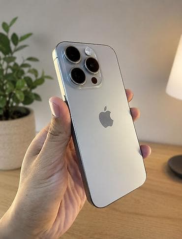 IPhone 15 Pro, Б/у, 256 ГБ, Natural Titanium, Зарядное устройство, Чехол