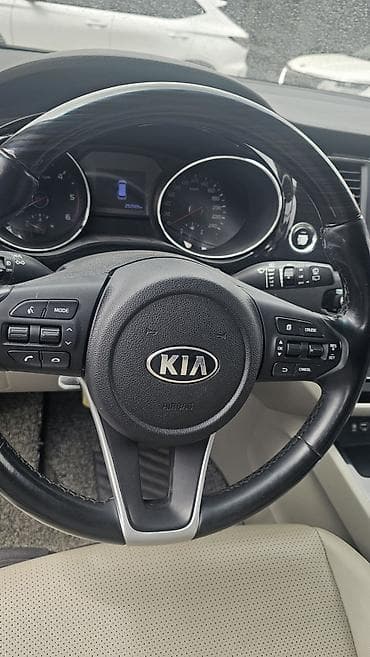 ата карнивал: Kia Carnival: 2019 г., 2.2 л, Автомат, Дизель, Минивэн — 9