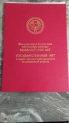 дом на иссык куле купить: 5 соток, Для бизнеса, Красная книга — 2