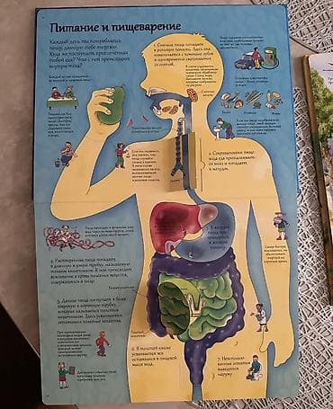 детский велосипед жук: Продаю б/у детские книги в идеальном состоянии. Энциклопедия для деток — 4