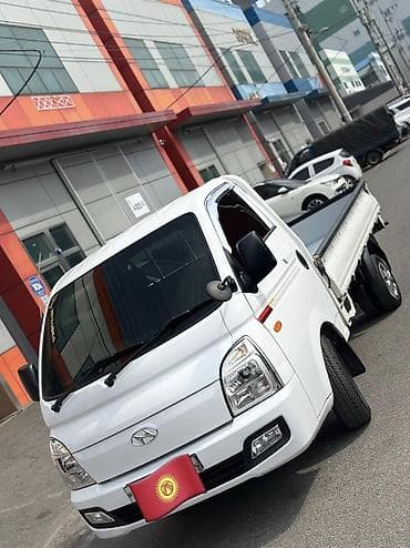 дворник на спринтер: Легкий грузовик, Hyundai, Стандарт — 1