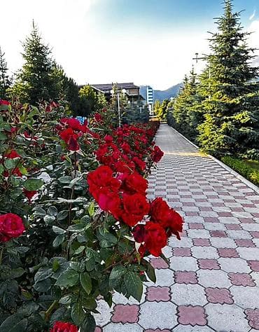 Посуточная аренда: Коттедж, Симирам, Корумду, 8 мест — 7