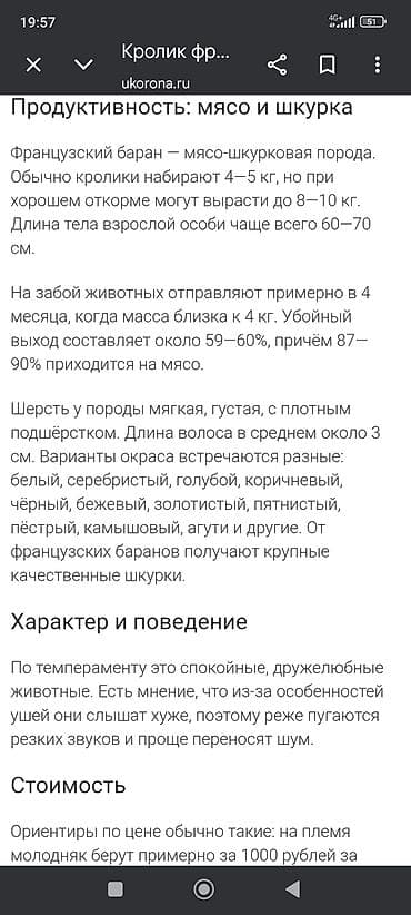 куплю крольчат: Продаю | Крольчата | Для разведения | Племенные — 2