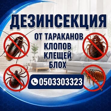 Профессиональная дезинсекция помещений. Обработка направлена на