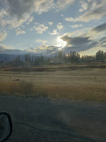 арка для цветов: Ищу саженцы уличного Жасмина, пахучего когда цветёт — 2