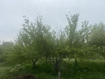 Кыймылсыз мүлк: 6 соток, Курулуш — 8