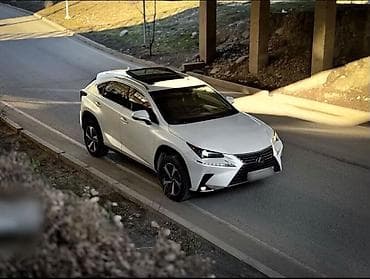 Lexus NX: 2020 г., 2 л, Автомат, Бензин, Кроссовер — 2