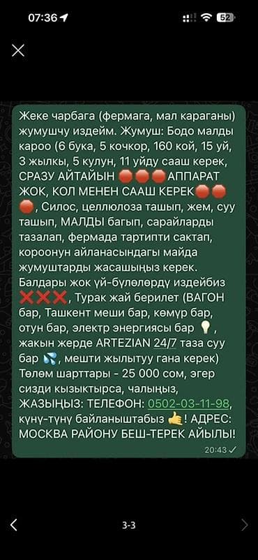 Требуется Скотник, Оплата: Ежемесячно at lalafo.kg Требуется Скотник, Оплата: Ежемесячно