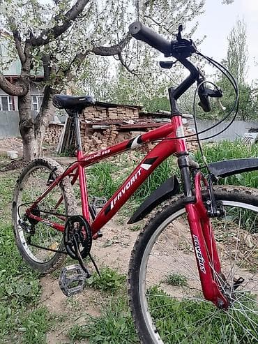 хардтейл: Горный велосипед, Сталь — 3