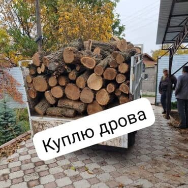 продаются дрова: Отун Өзү алып кетүү — 1
