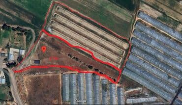 продаю участок салкын тор: 100 соток, Бизнес үчүн, Сатып алуу-сатуу келишими — 2