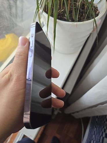 canon pixma mx394: IPhone 14 Pro, Б/у, 128 ГБ, Deep Purple, Зарядное устройство, 81 % — 4