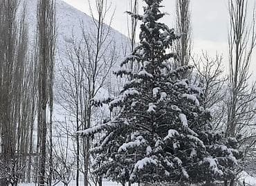 куплю участок в городе каракол: 15 соток, Для строительства, Красная книга, Тех паспорт, Договор купли-продажи — 3