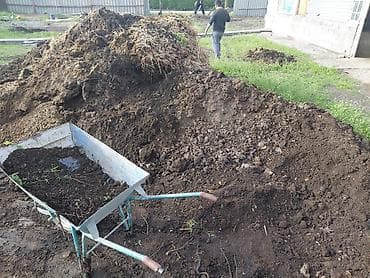 амофос удобрения: Перепревший навоз/компост из хозяйства - Натуральное органическое — 4