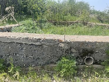 5 соток